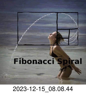 Facebook - Fibonacci Spiral