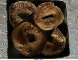 28 a23. Ken brought me Montreal bagels!