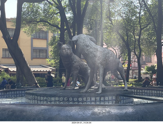 56 a24. Mexico City - Coyoacan