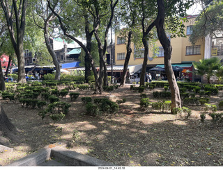 60 a24. Mexico City - Coyoacan