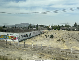 Teotihuacan cacti