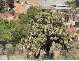 drive to San Miguel de Allende