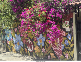 San Miguel de Allende mural