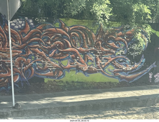 9 a24. San Miguel de Allende mural
