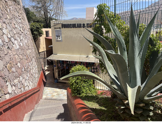 Guanajuato - city view plaza with gold man