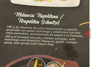 193 a24. Guadalajara restaurant menu with cheese au gratin