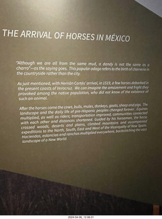 town of Tequila tour - horse museum sign