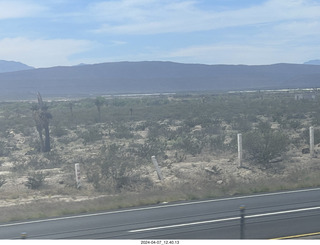 long drive to Torreon - weird plants