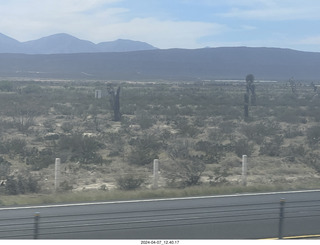 16 a24. long drive to Torreon - weird plants
