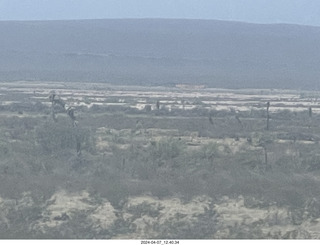 long drive to Torreon - weird plants