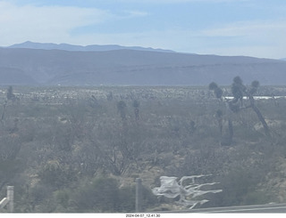 long drive to Torreon - weird plants