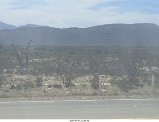24 a24. long drive to Torreon - weird plants