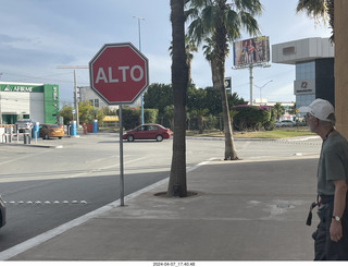 long drive to Torreon - weird plants