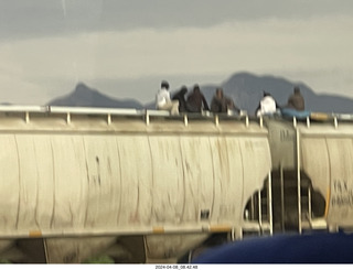 6 a24. Torreon - Mexicans riding the tops of freight-train cars