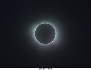 total solar eclipse picture (not mine)