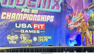 PRO/AM USA-FIT GAMES