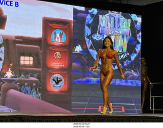 NPC Valley of the Sun Championships - Wings of Strength show