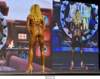 NPC Valley of the Sun Championships - Wings of Strength show