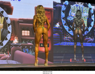 NPC Valley of the Sun Championships - Wings of Strength show