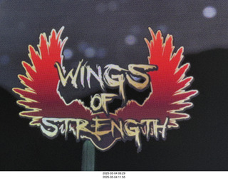 NPC Valley of the Sun Championships - Wings of Strength show