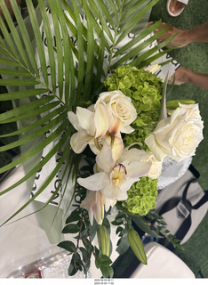 NPC Valley of the Sun Championships - Wings of Strength show