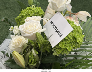 NPC Valley of the Sun Championships - Wings of Strength show