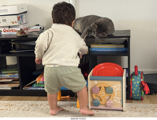 cats Potato and Pickle