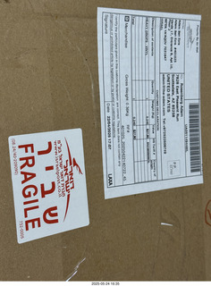 my cats Devin and Jane