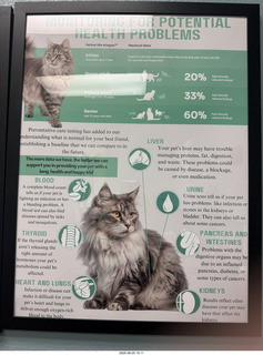 Kierland Animal Clinic - Krista Gibson - open house