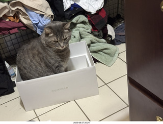 Anthony Junior and cat Potato