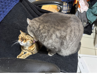 127 a2l. Pickle and Potato