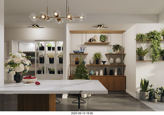 Midtown Manhattan - NovaPetal