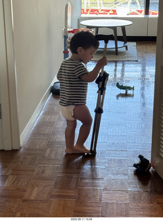 Midtown Manhattan apartment - Anthony Jr. and his toy cat