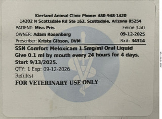 Kierland Animal Clinic - Krista Gibson - open house