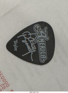 Mesa Arts - America guitar pick