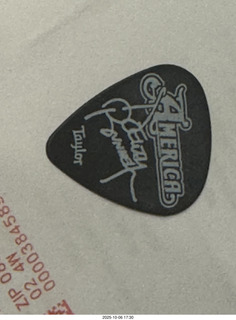 Mesa Arts - America guitar pick