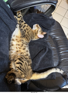 Midtown Manhattan - Intrepid Museum - Anthony and Jr.