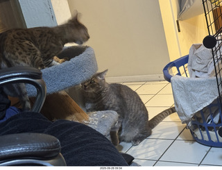 Midtown Manhattan - Intrepid Museum - propeller