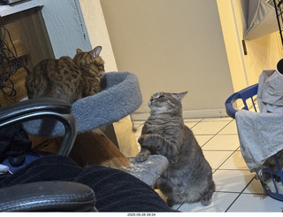 Midtown Manhattan - Empire State Building