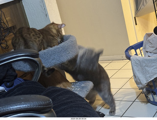 Midtown Manhattan - Empire State Building