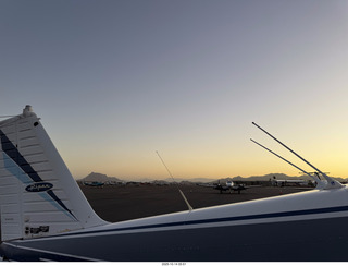 cats Potato and Pickle