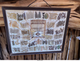 shanley pics - Monument Valley (UT25) - N8377W