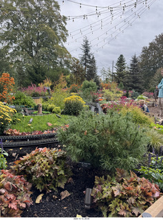 471 a2n. Longwood Gardens