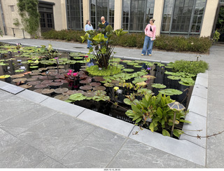 477 a2n. Longwood Gardens - water lilies