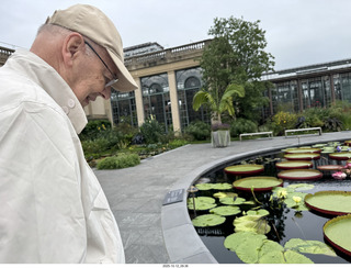 480 a2n. Longwood Gardens - water lilies - John Schubel