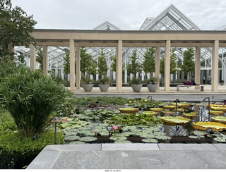 486 a2n. Longwood Gardens - water lilies
