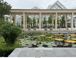 487 a2n. Longwood Gardens - water lilies
