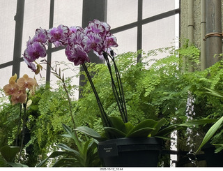 497 a2n. Longwood Gardens