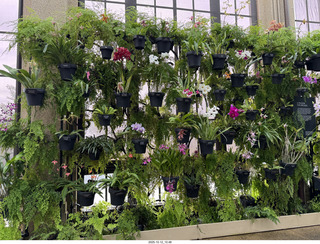 500 a2n. Longwood Gardens