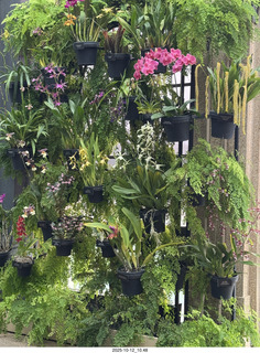 501 a2n. Longwood Gardens